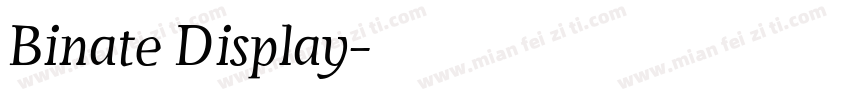 Binate Display字体转换